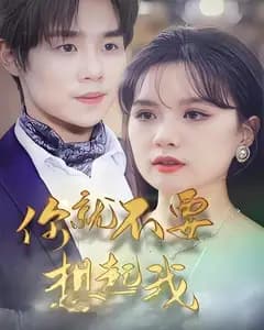 你就不要想起我
