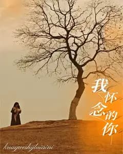 我怀念的你