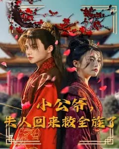 小公爷,夫人回来救全族了