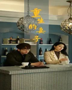 重生的妻子