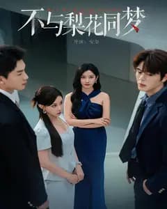 不与梨花同梦