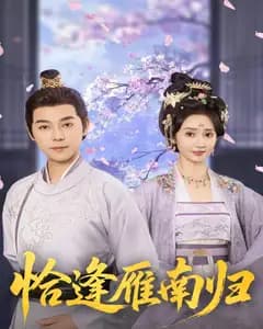 恰逢雁南归