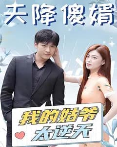 天降傻婿:我的姑爷太逆天