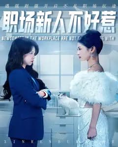 职场新人不好惹