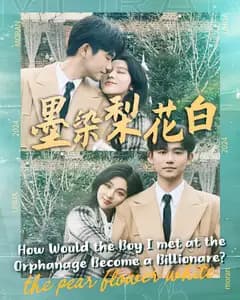 墨染梨花白