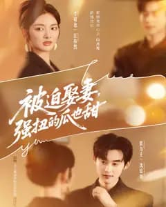 被迫娶妻,强扭的瓜也甜