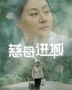慈母进城