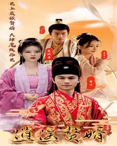 逍遥赘婿