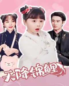 天降锦鲤