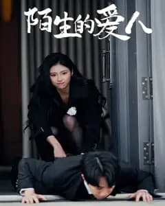 陌生的爱人