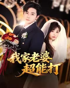 我家老婆超能打