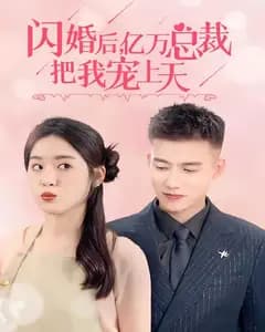 闪婚后,亿万总裁把我宠上天
