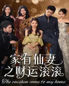 家有仙妻之财运滚滚