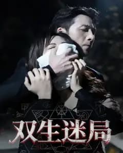 双生迷局