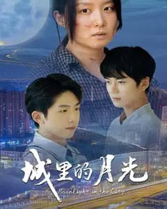 城里的月光