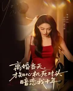 离婚当天,才知心机死对头暗恋我十年