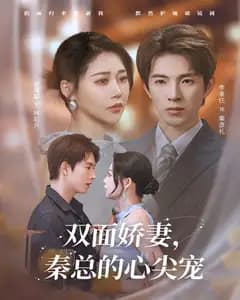 双面娇妻,秦总的心尖宠