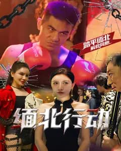 缅北行动
