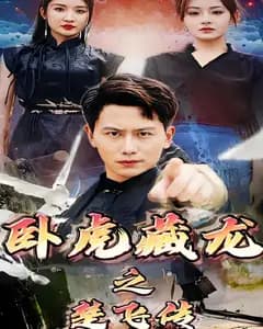 卧虎藏龙之楚飞传