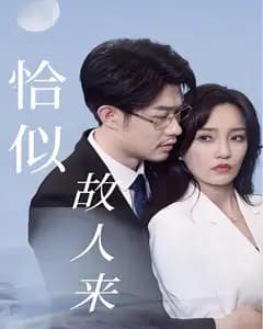恰似故人来