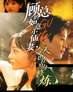 顾总的如意小仙妻,今天也在努力修炼