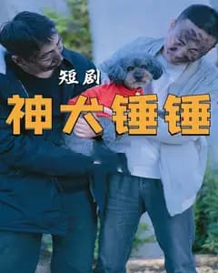 神犬锤锤