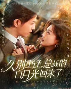 久别重逢,总裁的白月光回来了