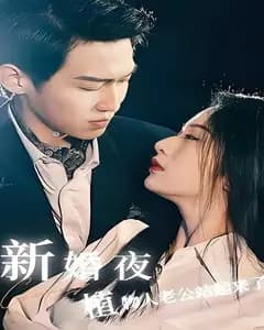 新婚夜,植物人老公站起来了