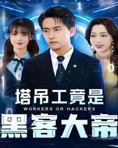 塔吊工竟是黑客大帝