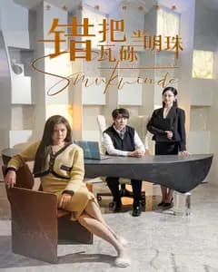 错把瓦砾当明珠