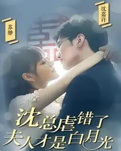 沈总虐错了,夫人才是白月光