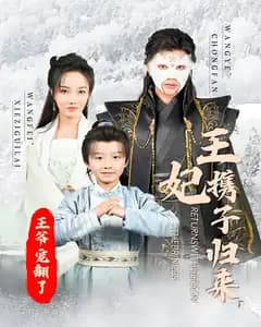 王妃携子归来,王爷宠翻了