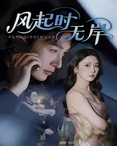 风起时无岸