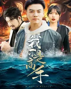 我不是高手