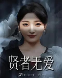 贤者无爱