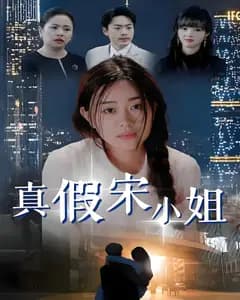 真假宋小姐