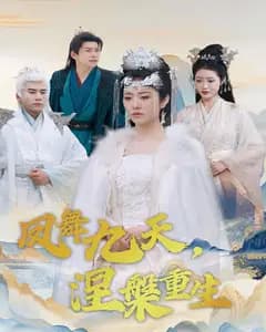 凤舞九天,涅槃重生
