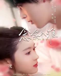 念念入淮