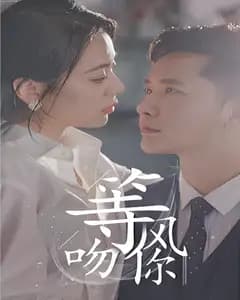 等风吻你