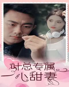 叶总专属小甜妻