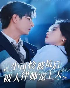 小可怜被坑后被大律师宠上天