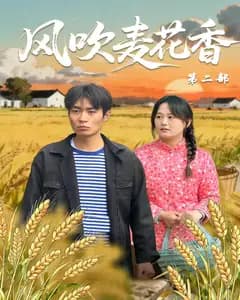 风吹麦花香第二部