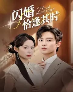 闪婚恰逢其时
