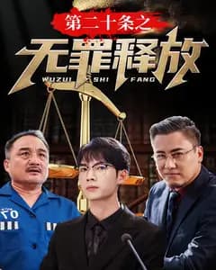 第二十条之无罪释放