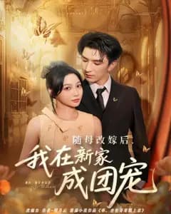 随母改嫁后,我在新家成团宠