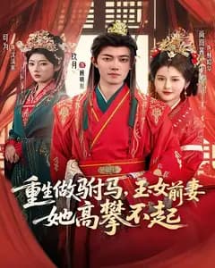 重生做驸马,玉女前妻她高攀不起