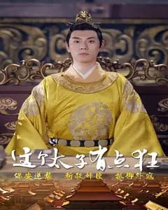 这个太子有点狂