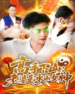 高手下山:老婆是冰山女神