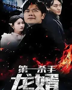 第一杀手龙婿