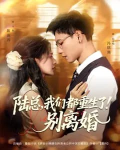陆总,我们都重生了!别离婚